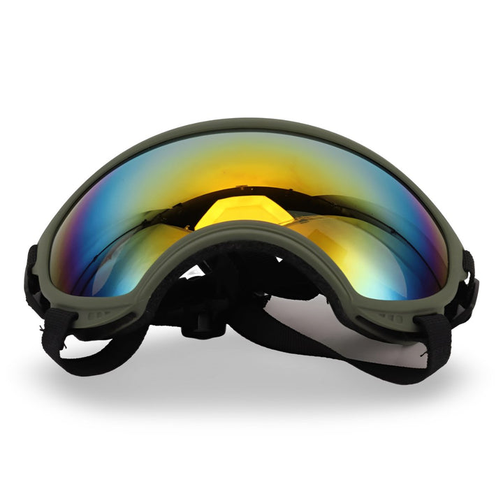 Protective Dog UV Goggles | Bull Terrier World