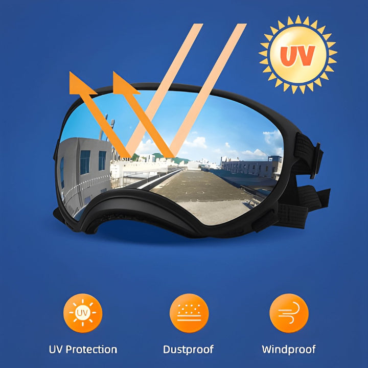 Protective Dog UV Goggles | Bull Terrier World