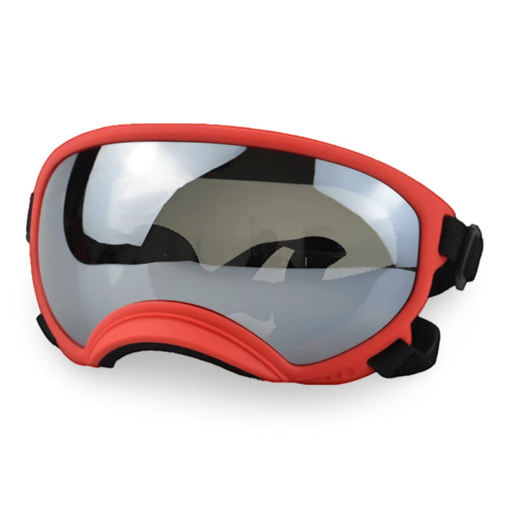 Protective Dog UV Goggles | Bull Terrier World