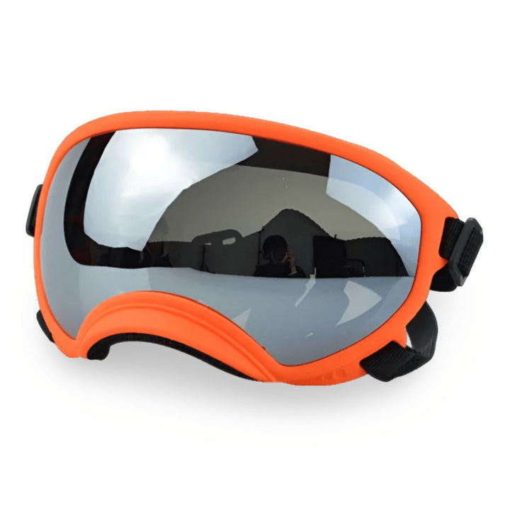 Protective Dog UV Goggles | Bull Terrier World