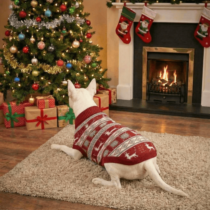 Red Nordic Christmas Sweater | Bull Terrier World
