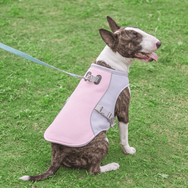 Reflective Cooling UV Vest With Leash Ring