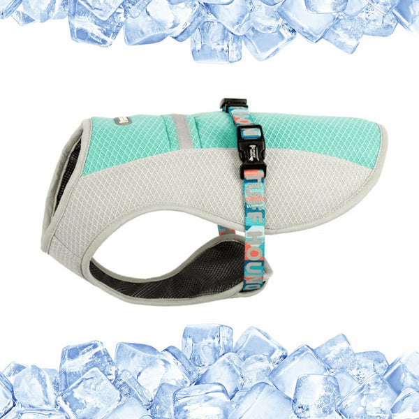 Reflective Cooling Vest | Bull Terrier World