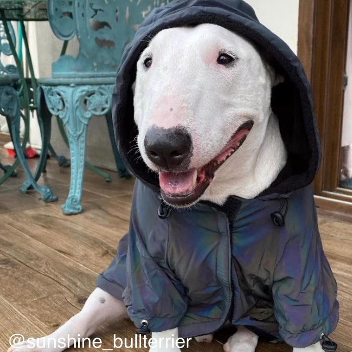 Reflective Dog Coat | Bull Terrier World