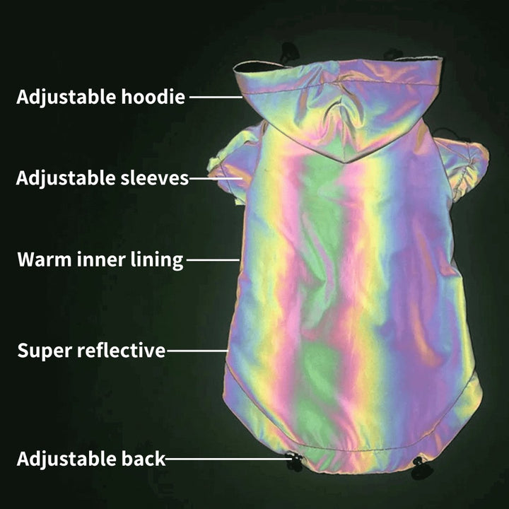 Reflective Dog Coat | Bull Terrier World