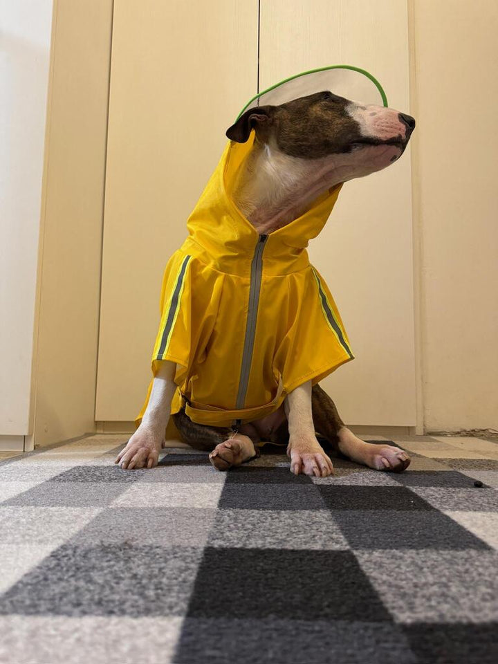 Reflective Dog Raincoat | Bull Terrier World