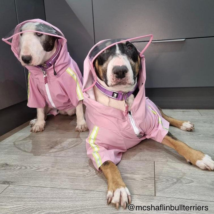 Reflective Dog Raincoat | Bull Terrier World