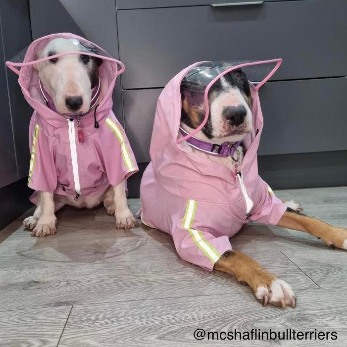 Reflective Dog Raincoat | Bull Terrier World