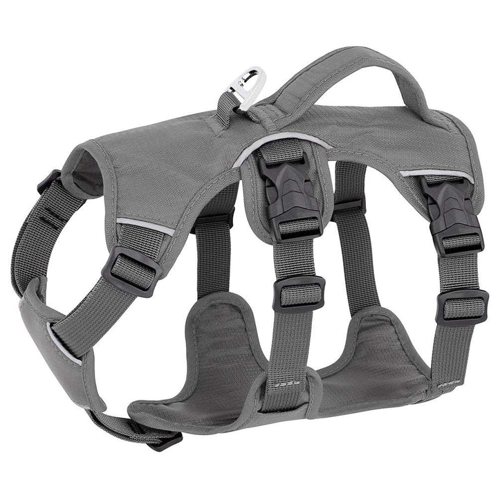 Reflective Escape-Proof Harness Bull Terrier World XXS / Gray