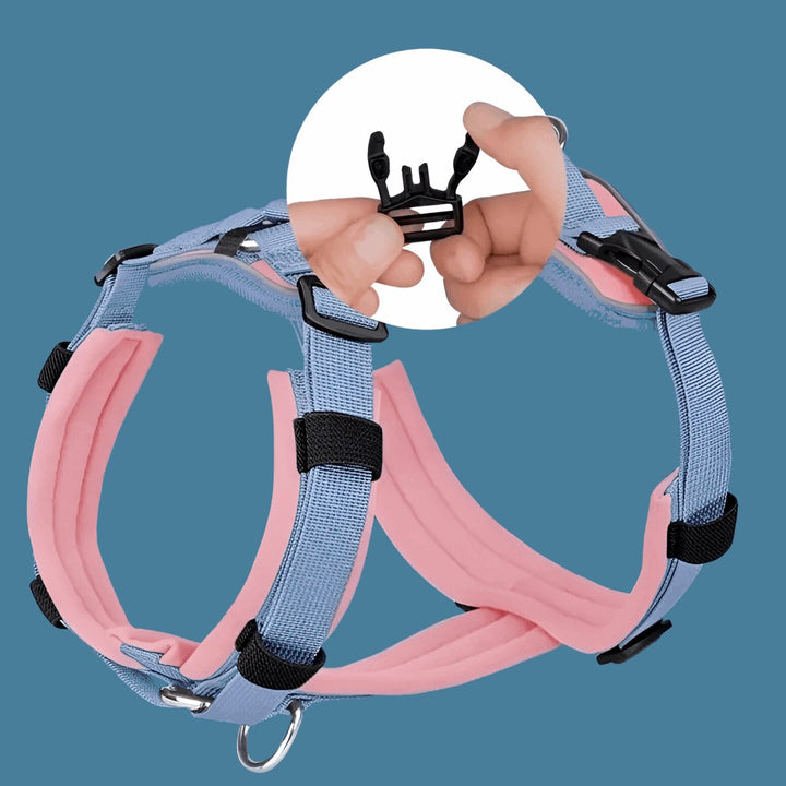 Reflective No - Pull Vest Harness | Bull Terrier World