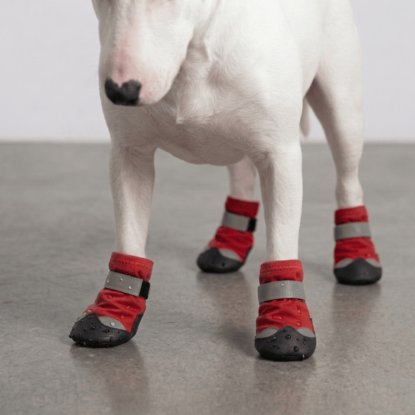 Reflective Soft Waterproof Dog Shoes