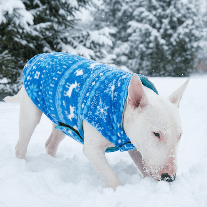 Reversible Polar Christmas Vest | Bull Terrier World