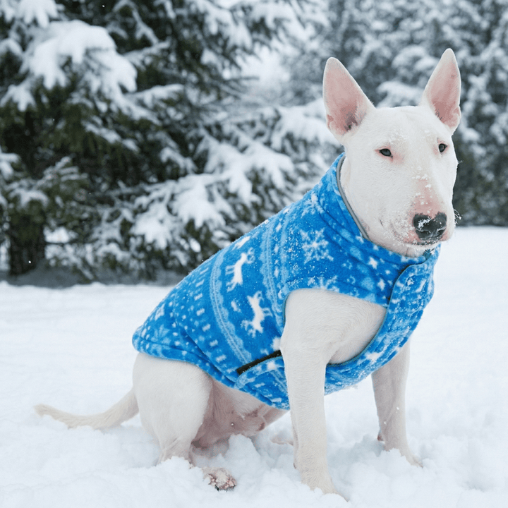 Reversible Polar Christmas Vest | Bull Terrier World