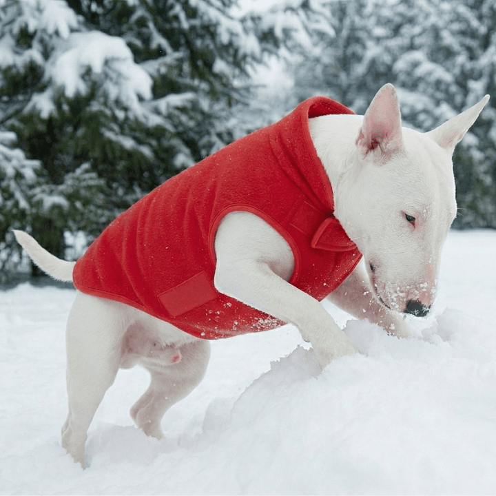 Reversible Polar Christmas Vest | Bull Terrier World