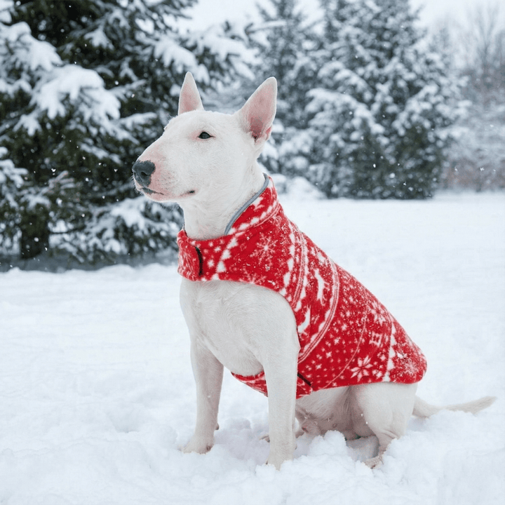 Reversible Polar Christmas Vest | Bull Terrier World
