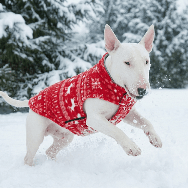 Reversible Polar Christmas Vest | Bull Terrier World
