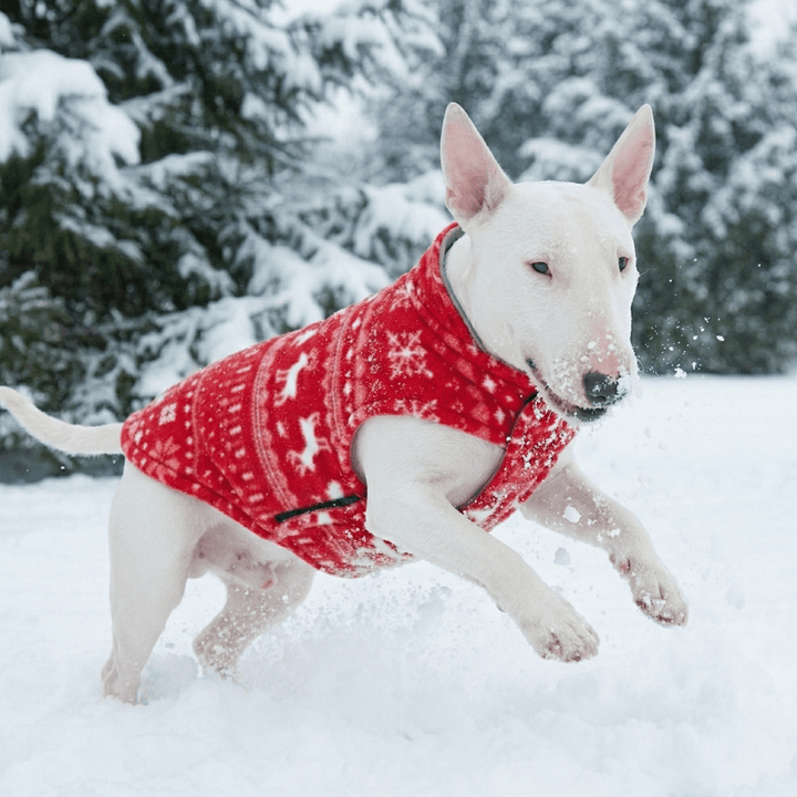 Reversible Polar Christmas Vest | Bull Terrier World