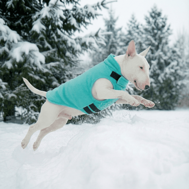 Reversible Polar Christmas Vest | Bull Terrier World