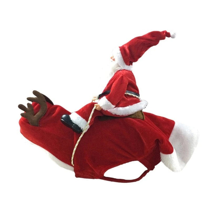 Santa Claus Dog Costume | Bull Terrier World