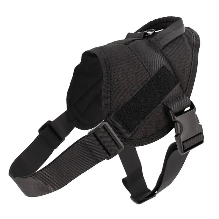 Tactical Harness With Velcro | Bull Terrier World