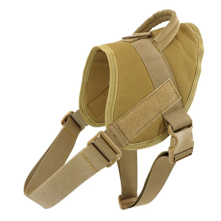 Tactical Harness With Velcro | Bull Terrier World