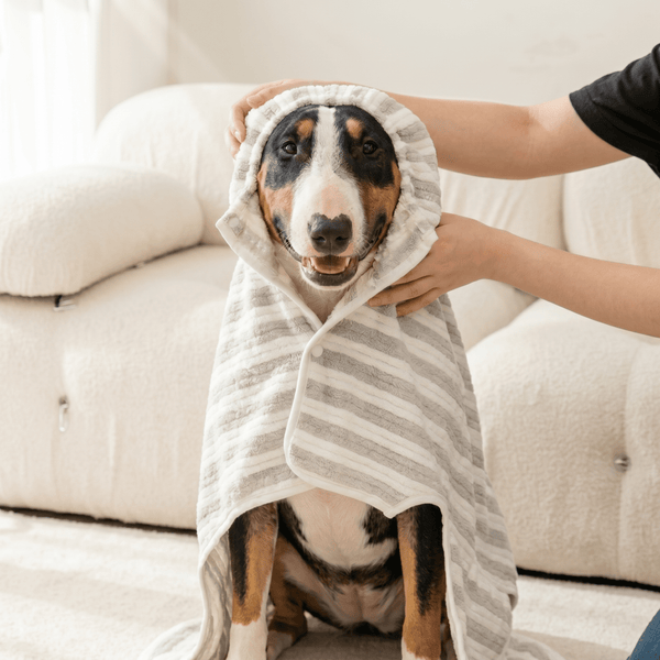 Ultra-Absorbent Dog Bathrobe