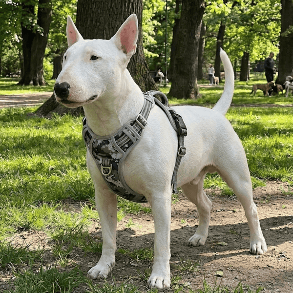 Vertikaler Griff Reflektierendes Geschirr