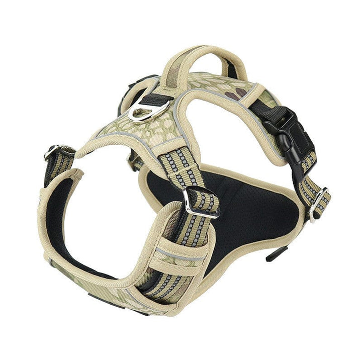 Vertical Handle Reflective Harness | Bull Terrier World