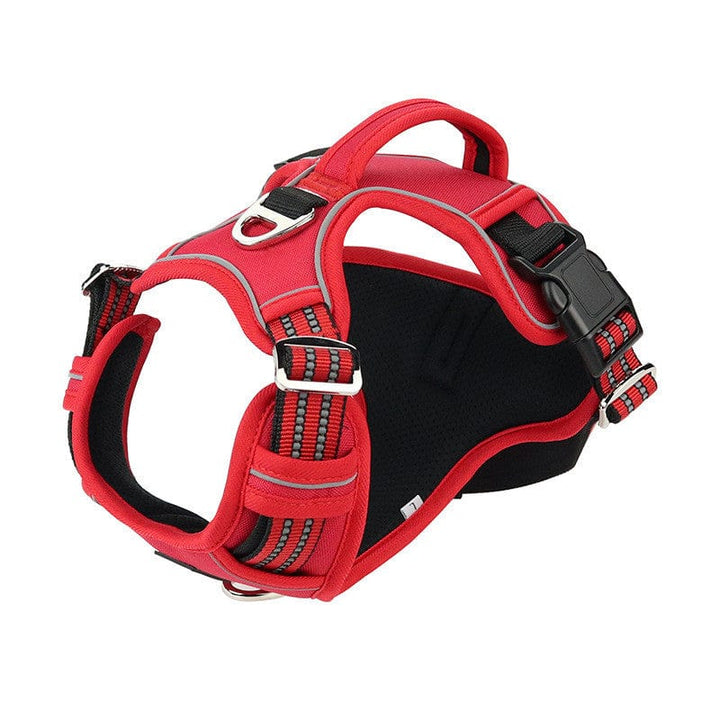 Vertical Handle Reflective Harness | Bull Terrier World