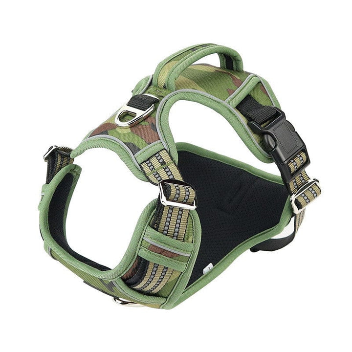 Vertical Handle Reflective Harness | Bull Terrier World