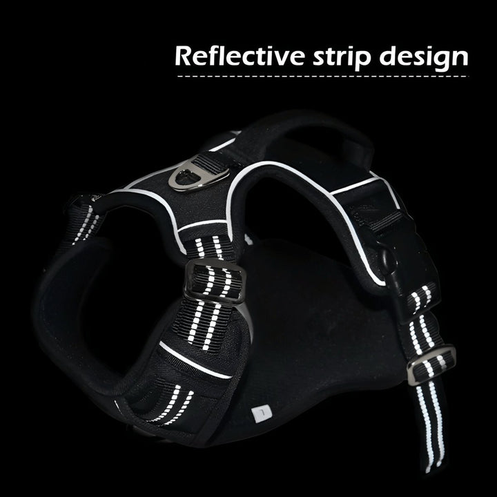 Vertical Handle Reflective Harness | Bull Terrier World