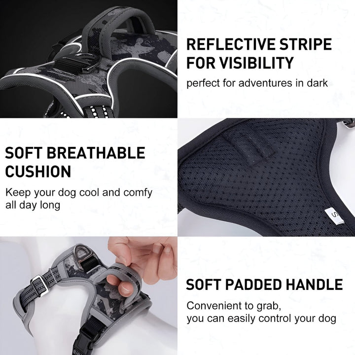 Vertical Handle Reflective Harness | Bull Terrier World