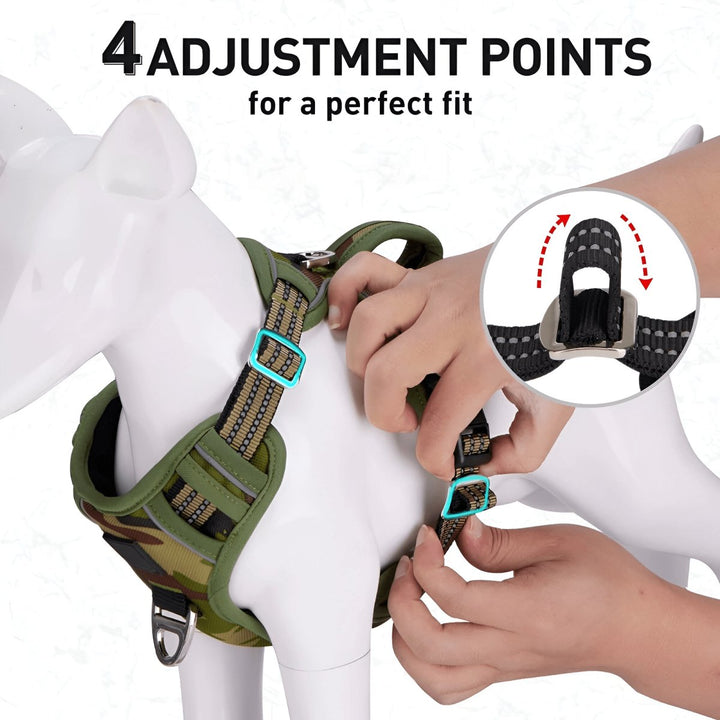 Vertical Handle Reflective Harness | Bull Terrier World