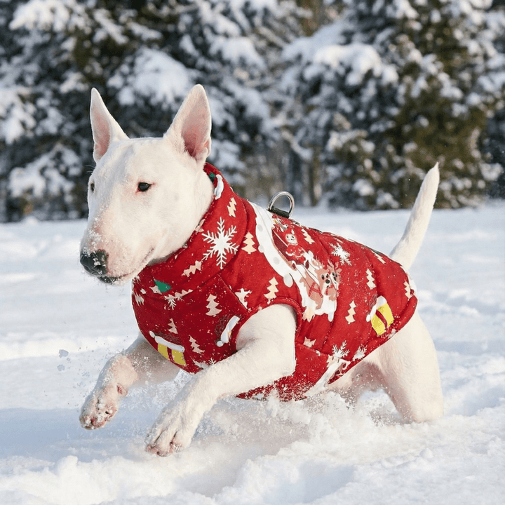 Warm Waterproof Christmas Vest | Bull Terrier World