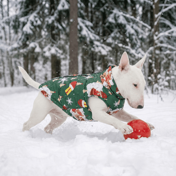 Warm Waterproof Christmas Vest | Bull Terrier World