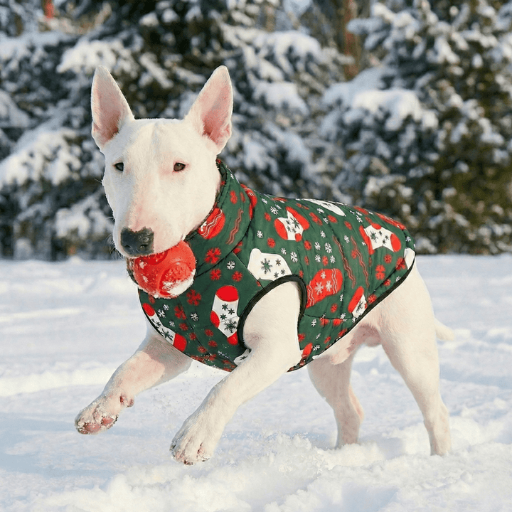 Warm Waterproof Christmas Vest | Bull Terrier World