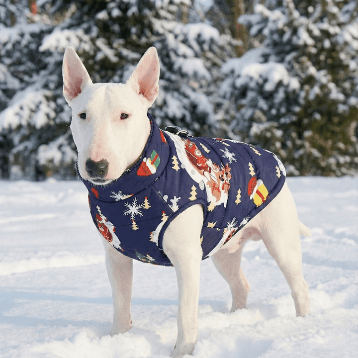 Warm Waterproof Christmas Vest | Bull Terrier World