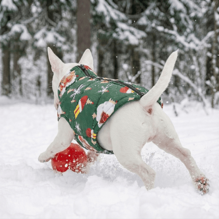 Warm Waterproof Christmas Vest | Bull Terrier World