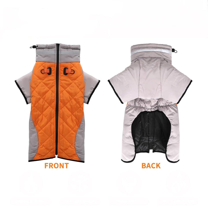 Warm Waterproof Dog Jacket | Bull Terrier World