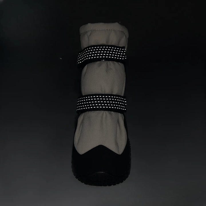 Warm Winter Tall Boots | Bull Terrier World