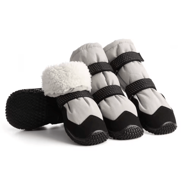 Warm Winter Tall Boots | Bull Terrier World