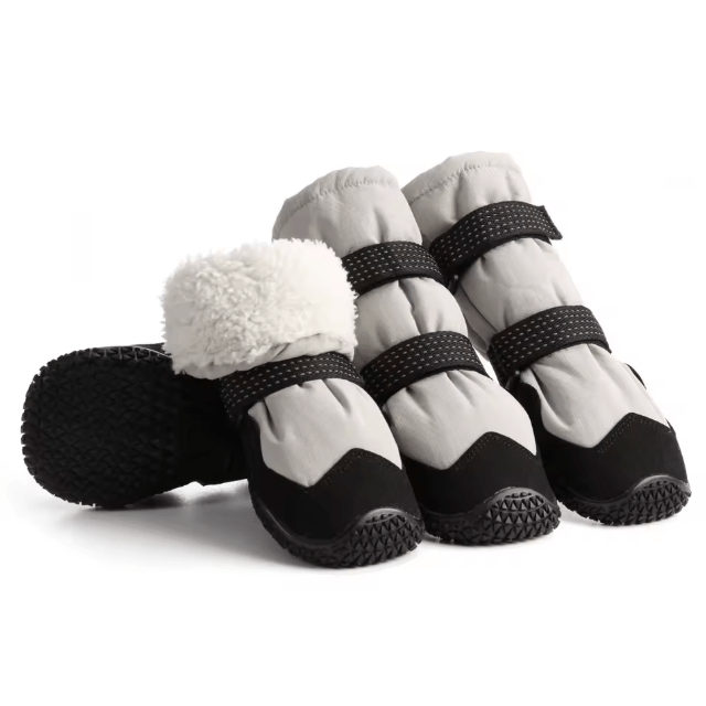 Warm Winter Tall Boots | Bull Terrier World