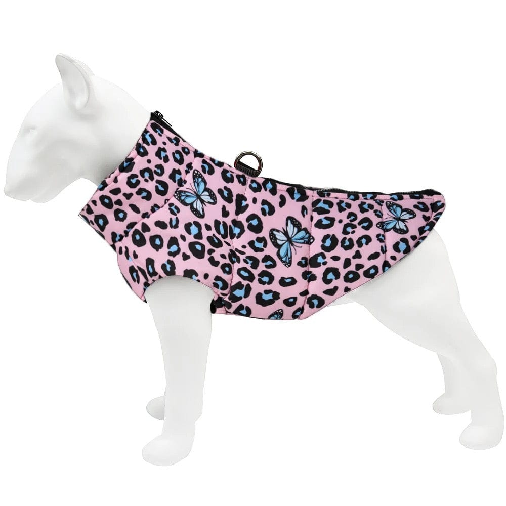 Bull terrier dog clothes best sale