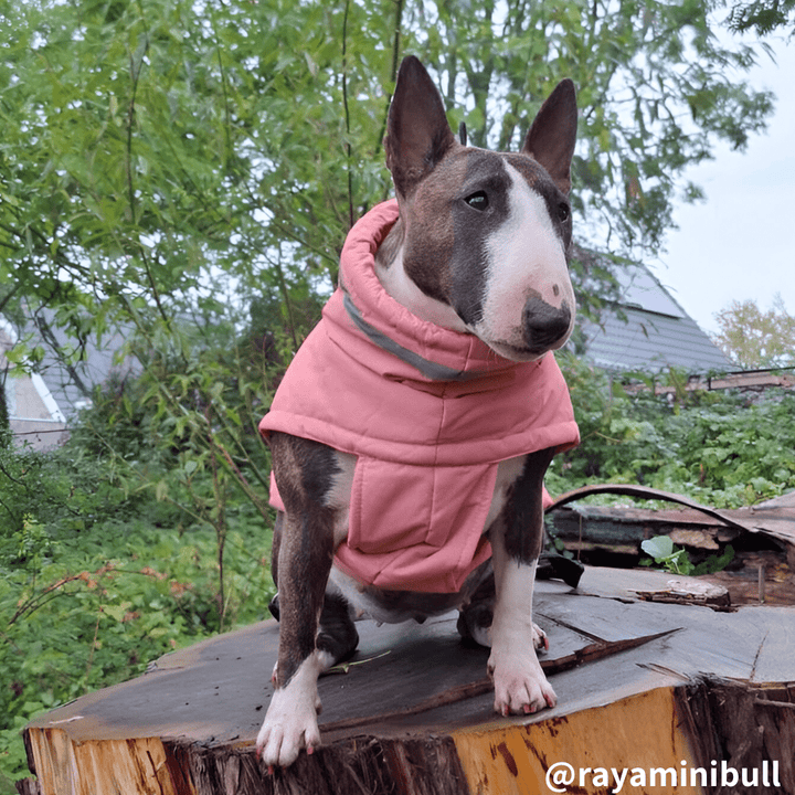 Waterproof Dog Vest With High Collar | Bull Terrier World