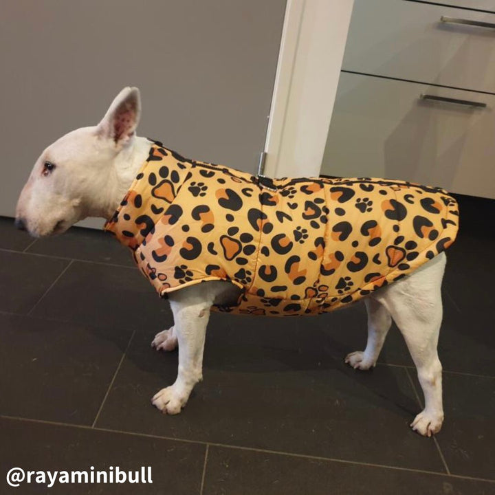 Waterproof Leopard Vest | Bull Terrier World