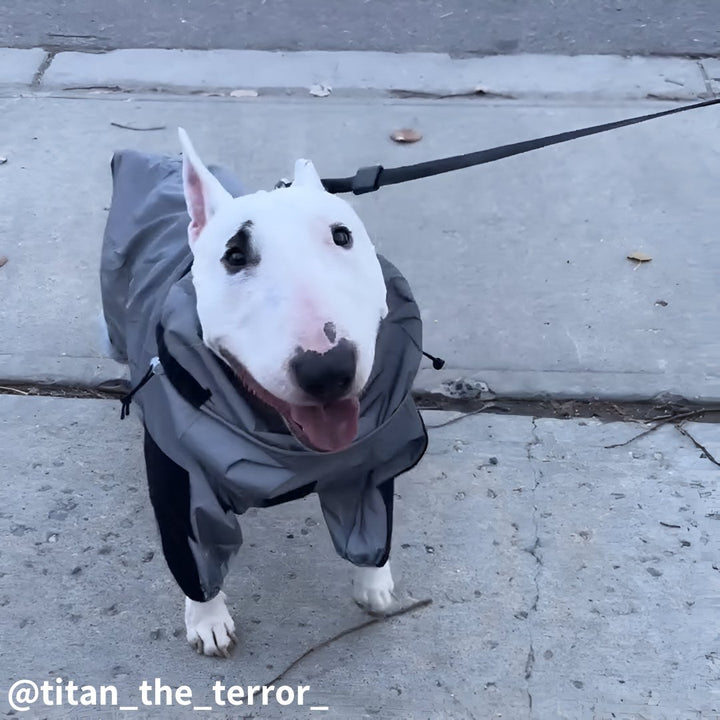 Waterproof Reflective Dog Overalls | Bull Terrier World