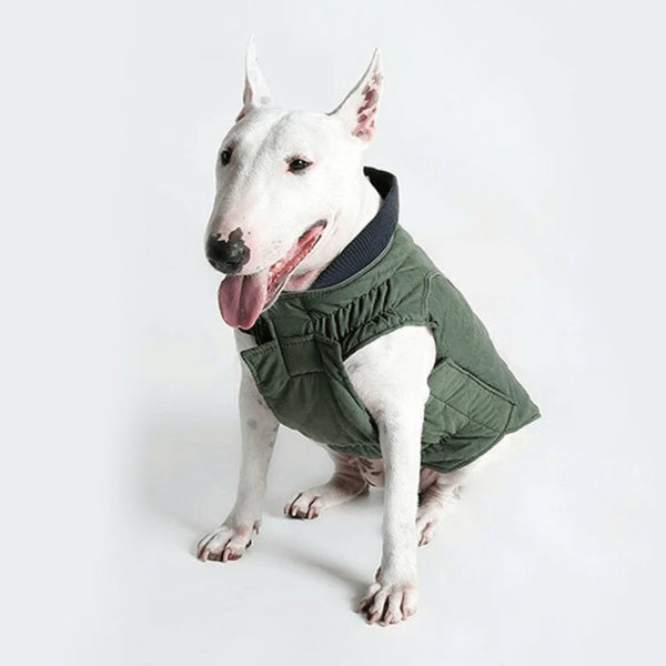 Waterproof Vest With Elastic Collar | Bull Terrier World