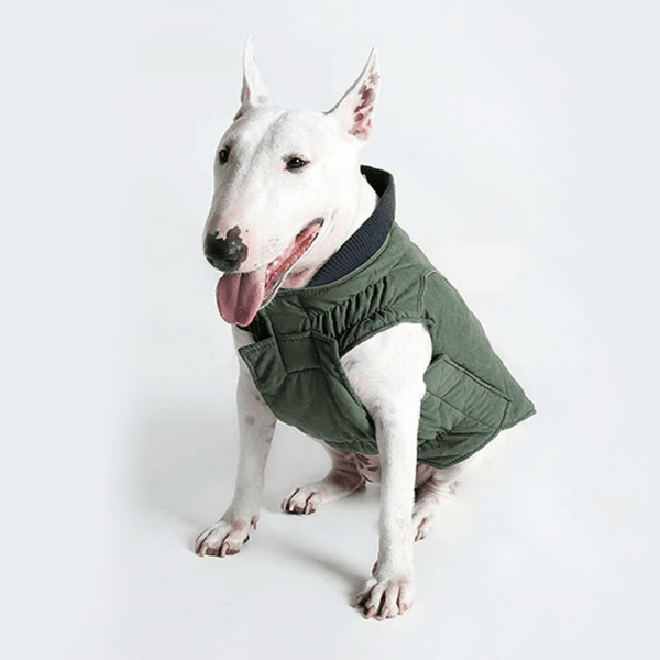 Waterproof Vest With Elastic Collar Bull Terrier World XS / Green