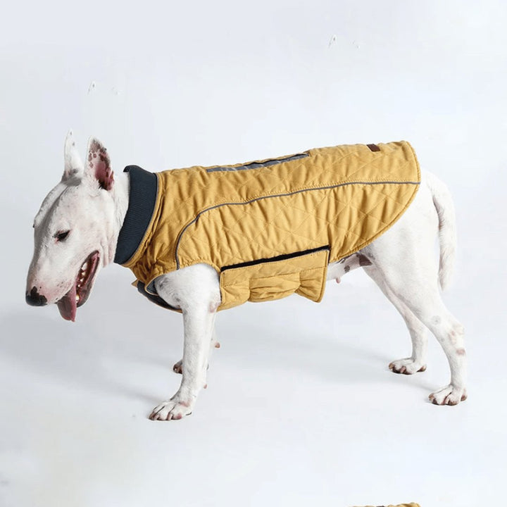 Waterproof Vest With Elastic Collar | Bull Terrier World