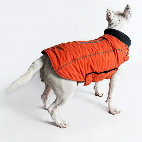 Waterproof Vest With Elastic Collar | Bull Terrier World